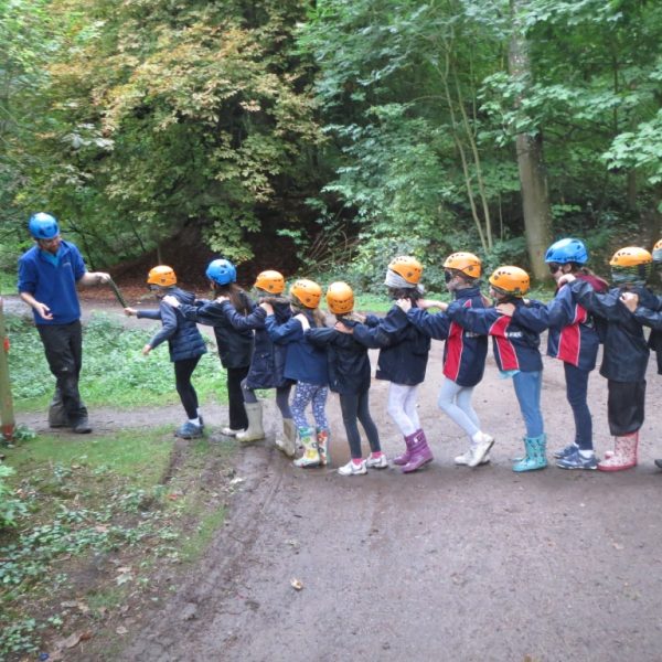 nightline-group