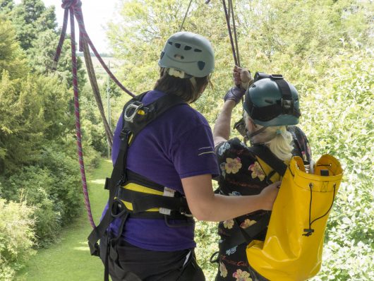 Zip Wire