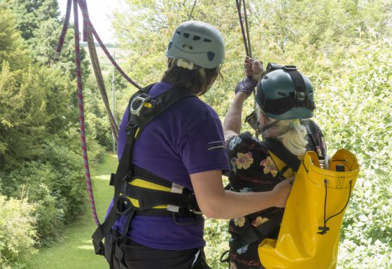 Zip Wire